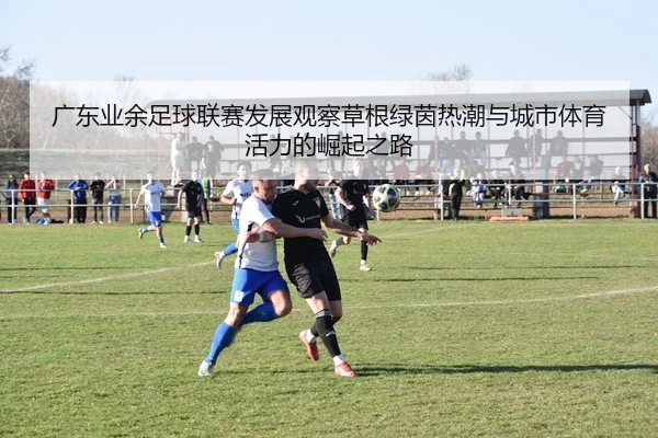 广东业余足球联赛发展观察草根绿茵热潮与城市体育活力的崛起之路