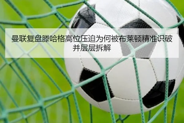 man-lian-fu-pan-teng-ha-ge-gao-wei-ya-po-wei-he-bei-bu-lai-dun-jing-zhun-shi-po-bing-ceng-ceng-chai-jie-2-259.jpg